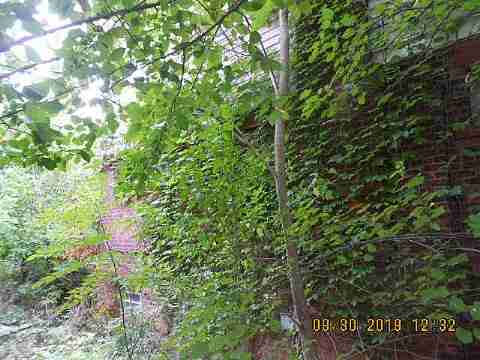 5381 Linsdale (4)_m.jpg